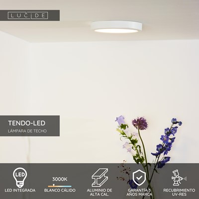 Lucide TENDO-LED - Lámpara de techo - Ø 22 cm - LED - 1x18W 3000K - Blanco